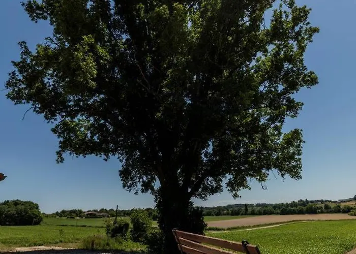 Juine * Fargues (Landes)