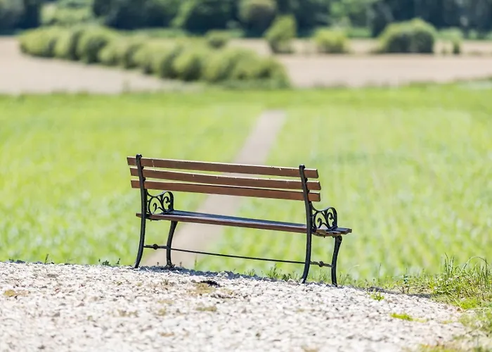 Juine * Fargues (Landes)